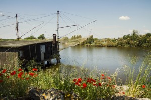 affittare una casa nei lidi ferraresi