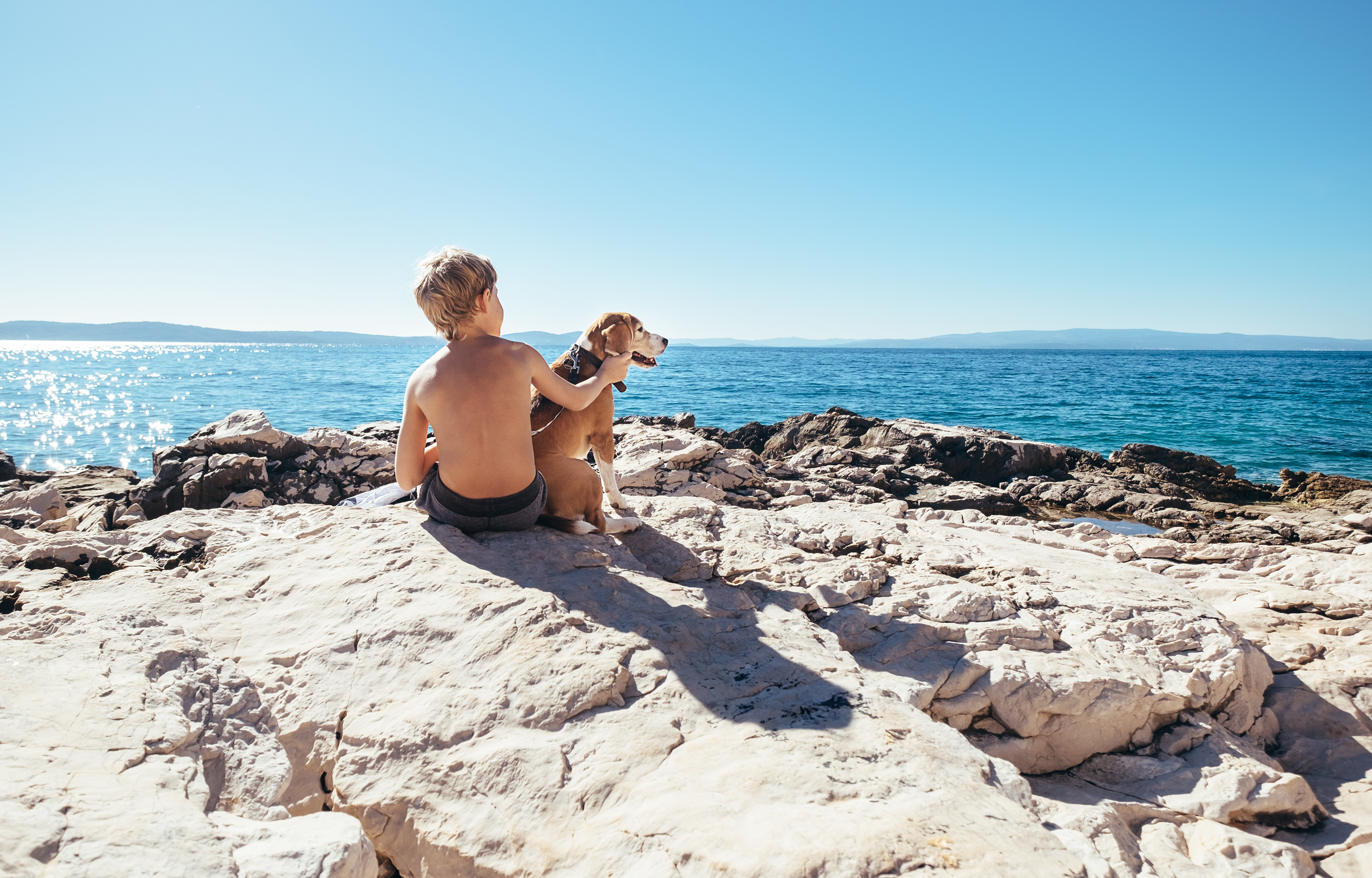 cani in spiaggia ai Lidi Estensi